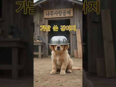 엄마가 보고 있다... 사고 치고 가발(?) 쓴 강아지