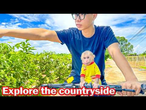 Lala explores the countryside with CEO Kien after many days!