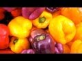 Benefits of Eating Seasonally