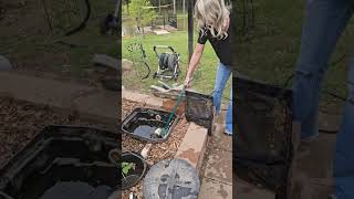Snake Fails, Pranks & Wild Bites That’ll Make You Jump! 🐍😂