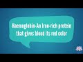 Sickle Cell Anemia Concepts