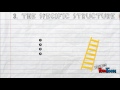 Understanding Non-Fiction Writing Concepts