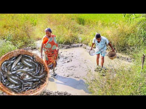 santali tribe old couple fishing in field and cooking FISH CURRY RECIPE for their lunch