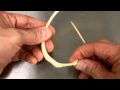 Rib Anatomy and Function Assessment