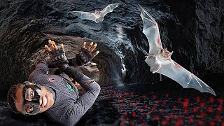 I Explored The Largest Cave Filled With Predators