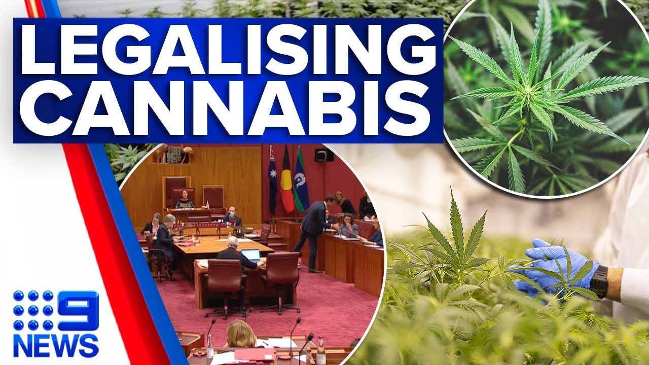 Bill to Legalise Cannabis in Australia could soon be Introduced to Parliament