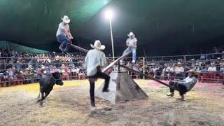 ¡SOLO PARA VALIENTES!😱 ¡$ 6,000 PESOS POR JUGAR AL SUBE Y BAJA CON EL TORO ADENTRO!