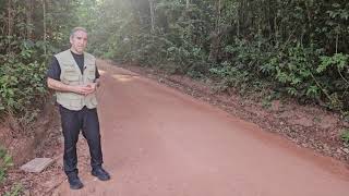 UN Scandal- Clearcutting the rainforest to save the world from Climate Change