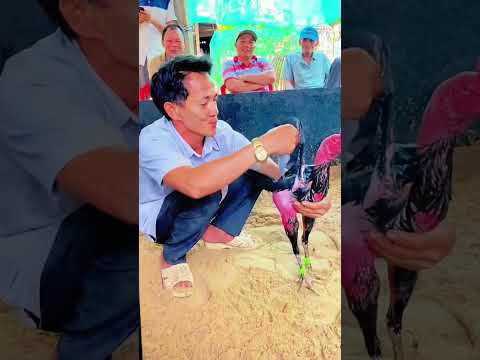 Nay đi gặp Bác này, nhìn mà phê