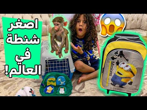 فاجئنا عبسي في اصغر شنطه بالعالم للمدرسه😭💔