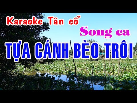 Karaoke tân cổ TỰA CÁNH BÈO TRÔI – SONG CA [Minh Vương – Bích Hạnh]