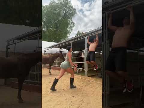A day at the horse barn