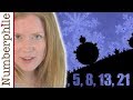 Fibonacci and Mandelbrot Concepts
