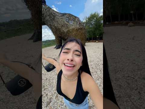Donde consigo un capibara ? 💔😭 #laurasofia #humor #comedia #comedy
