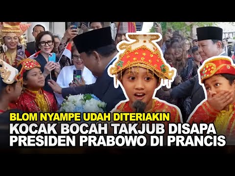GAK ADA CAPEKNYA! PRESIDEN PRABOWO BEGITU NYAMPE LANGSUNG DISAMBUT ANTUSIAS DIASPORA DI PRANCIS