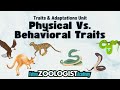 Traits and Behaviors in Animals