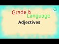 Understanding Adjectives and Their Order