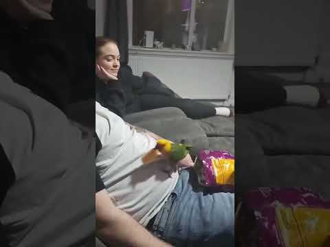 Снимай под этот звук #shortvideo любимых животных