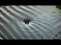Light Behavior and Wave Properties