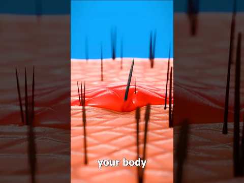 #splinter #extraction #sciencefacts #amazingfacts #facts #experiment