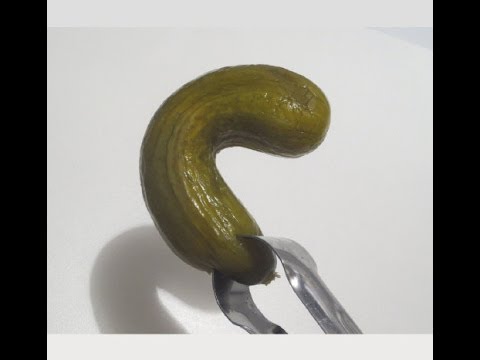 كيف تصنع الذّ مخلل خيار ?