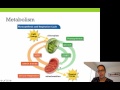 Energy and Metabolism Concepts