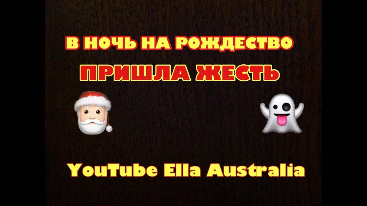 Жесть в рождественскую ночь 2018! Ядовитый паук бегает в туалете сидней австралия