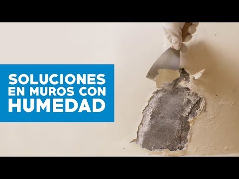 Cómo solucionar problemas de humedad en muro