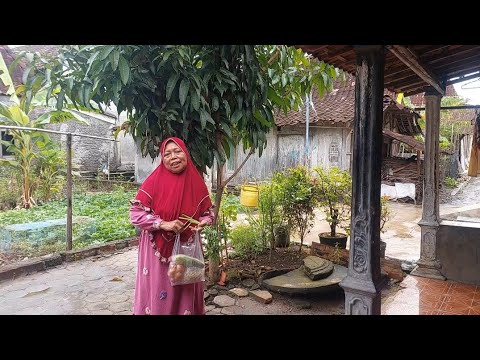 Bermacam-macam Menu Masakan emak masak sendiri untuk berbuka puasa