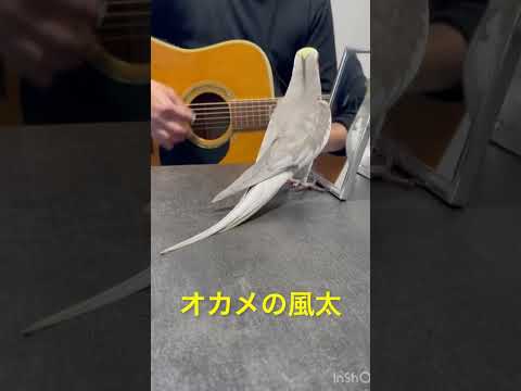 ミッキーマウスマーチを歌いながらドヤ顔をキメる風太くん♪見切れてたので再投稿♪