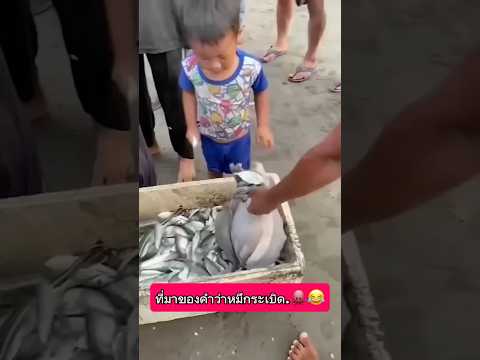 ที่มาของคำว่า…น้ำหมึกกระจาย…🐙🤣😂 #คลายเครียด #funny #ตลก #entertainment #comedy #ขำๆ