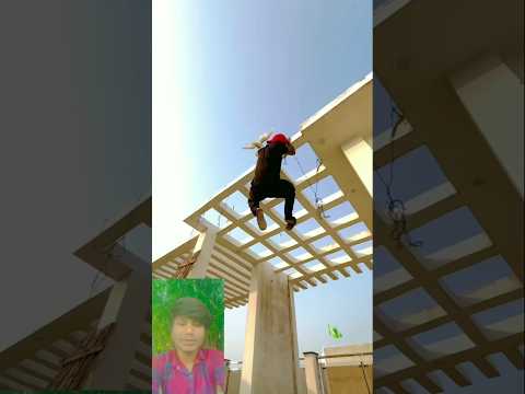 #shortvideos 😭#pigeonbird #new vairal #shorts #video 👀👀😥😓🤗#yuotubeshorts #music #shorts
