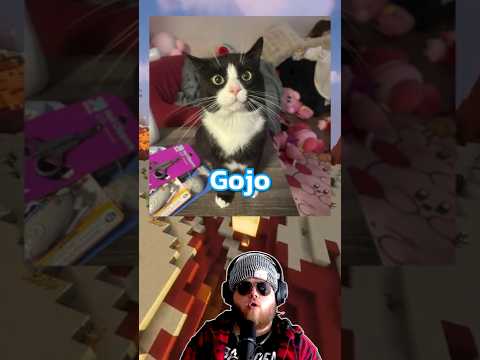 Bad Cat Idea