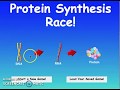 Exploring Protein Synthesis: Part 1