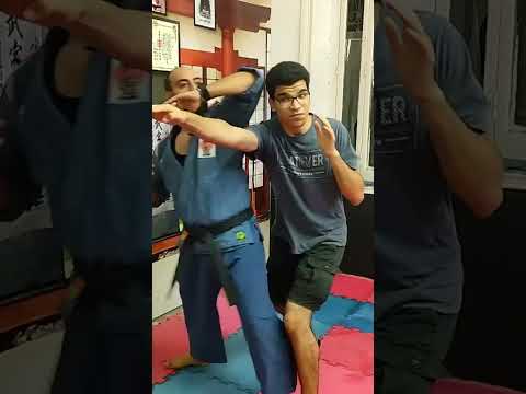 الضربات القاضيه فينت باك ايلبو feint back elbow strike #kyokushinway #tarek_vandam #mma #combatsport