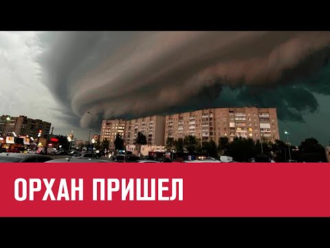 Шторм Орхан добрался до Москвы - Москва FM