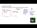 Sampling Methods and Plant Population Analysis