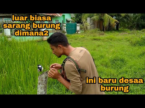 KETIKA MUSIM TIBA_DI TERAS RUMAH PUN JADI