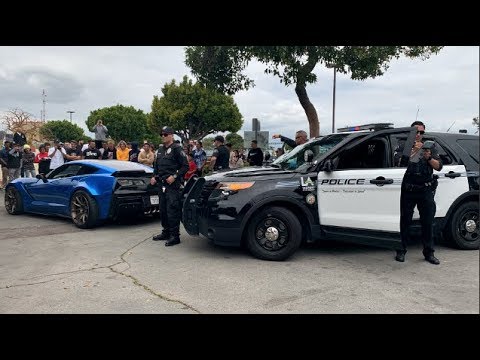COPS KEEP HARASSING ME.. ( 20th Ticket )