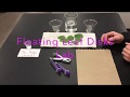 Exploring Photosynthesis with Floating Leaf Disks