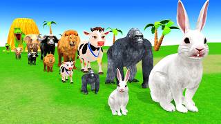 Long Slide Game With Cow Elephant Gorilla Hippopotamus Tiger 3d Animal Game Funny 3d AnimalsVideo