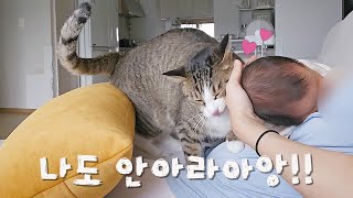 엄마고양이라 생각하던 집사가 아기를 안고 있을 때 개냥이의 놀라운 반응