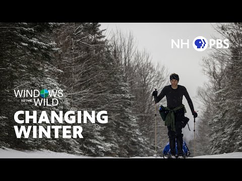 YouTube video thumbnail: Windows To The Wild: New Hampshire's Changing Winter