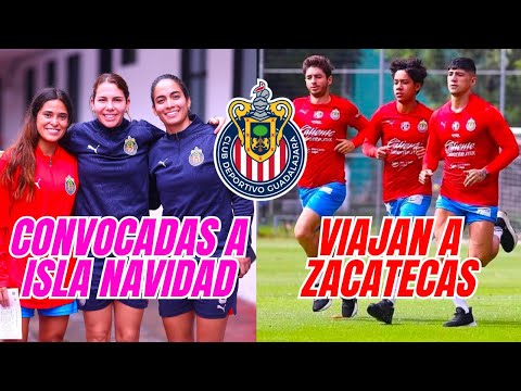 🚨 CHIVAS FEMENIL Y VARONIL VIAJARON. AUSENTES Y CONVOCADOS