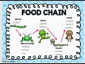 Exploring Food Chains and Food Webs