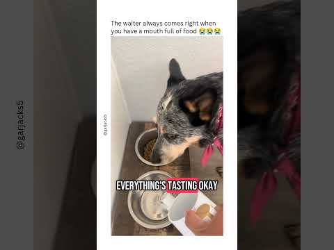 She said the food is a little *dry* (via: @garjacks5/tt)