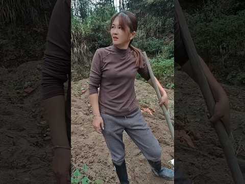 masteran burung viral kocak bikin ngakak hiburan warga +62 fuunyvideos