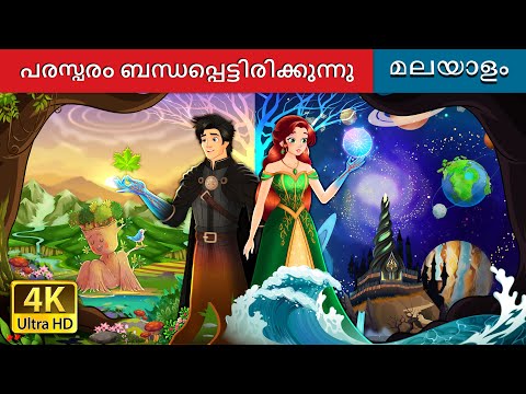 പരസ്പരം ബന്ധപ്പെട്ടിരിക്കുന്നു | Interconnected Story in Malayalam | @MalayalamFairyTales