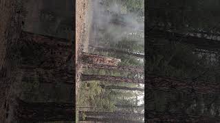 exploding fun #explosion