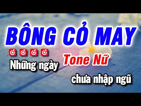 Karaoke Bông Cỏ May – Nhạc Sống Tone Nữ – Beat Bảo Hưng